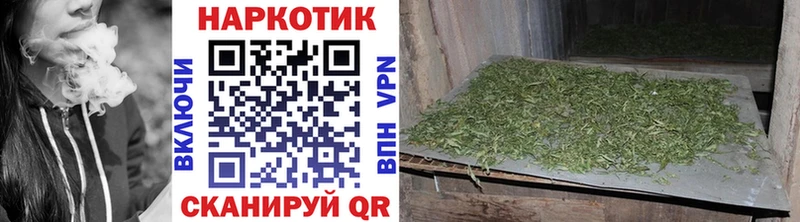 Где купить Шенкурск Кокаин блэк спрут как войти Канабис Меф мяу мяу АМФ