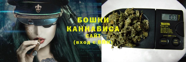 молекула духа Магадан