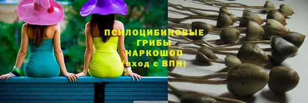 молекула духа Магадан