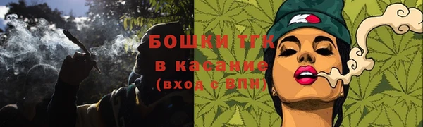 твердый Магас