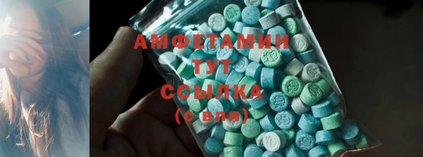 твердый Магас