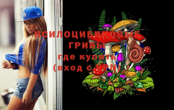 твердый Магас