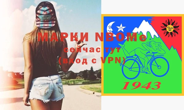 твердый Магас
