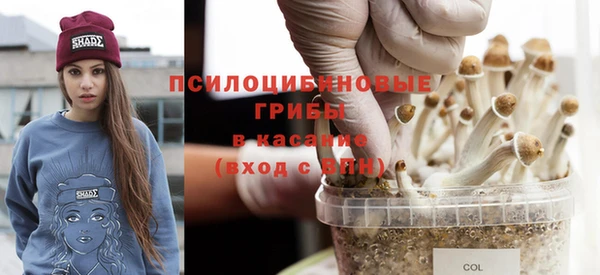 spice Мегион