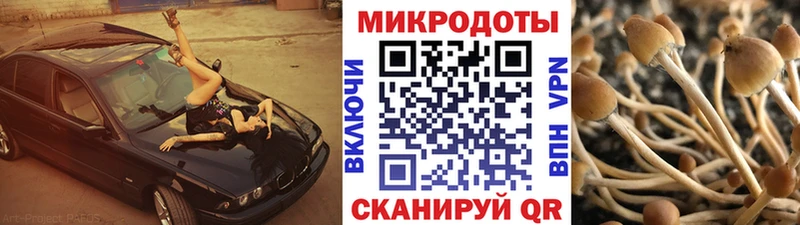 Псилоцибиновые грибы GOLDEN TEACHER  OMG вход  Шенкурск  где продают наркотики 